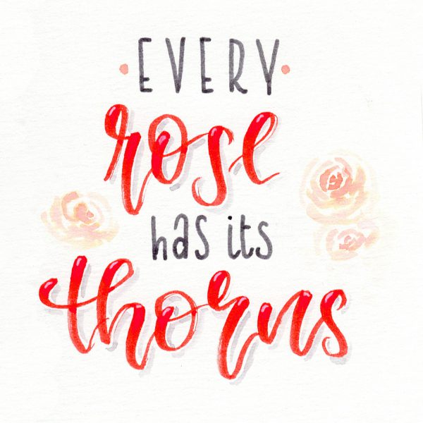 every rose has its thorns - hand lettering | Bunte Galerie