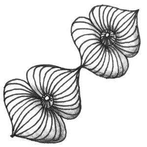 Zentangle Muster Elata