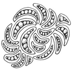 Zentangle Muster Molygon