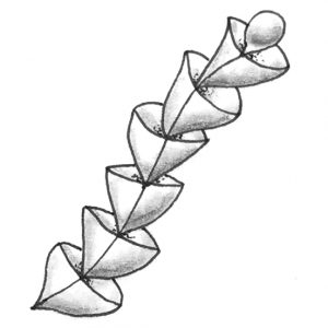 Zentangle Muster Puchong