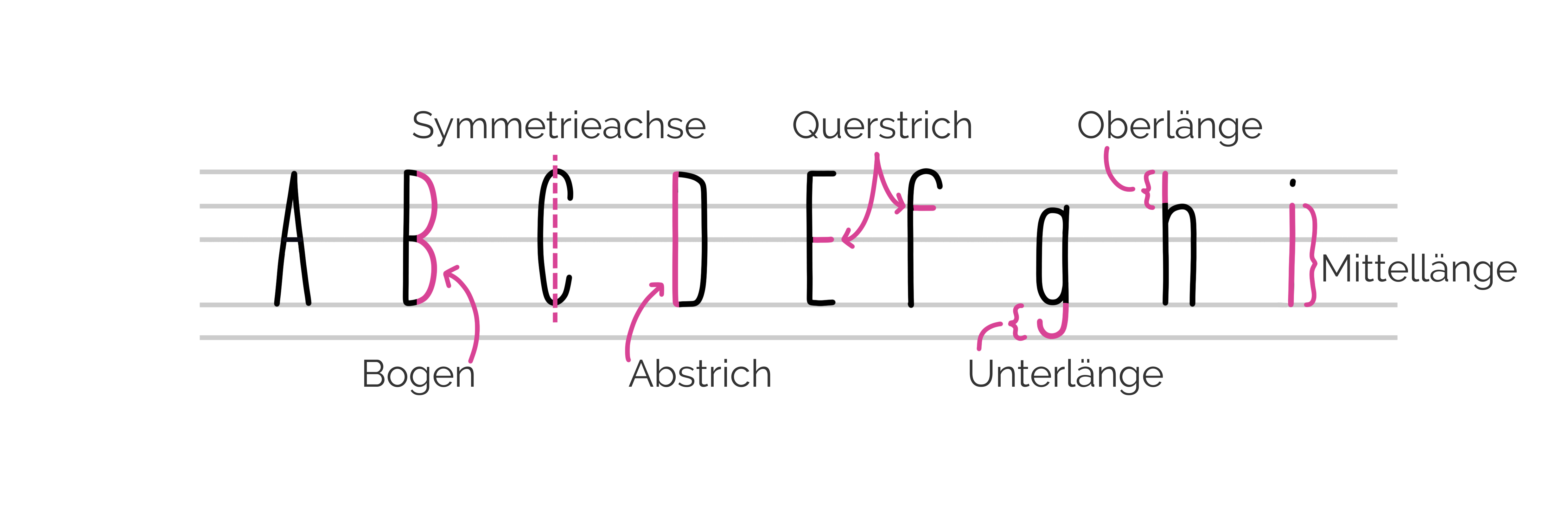 Typografische Begriffe für's Handlettering